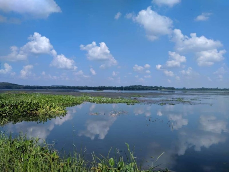 Ansupa Lake, the phoenix that rose from its&nbsp;ashes.