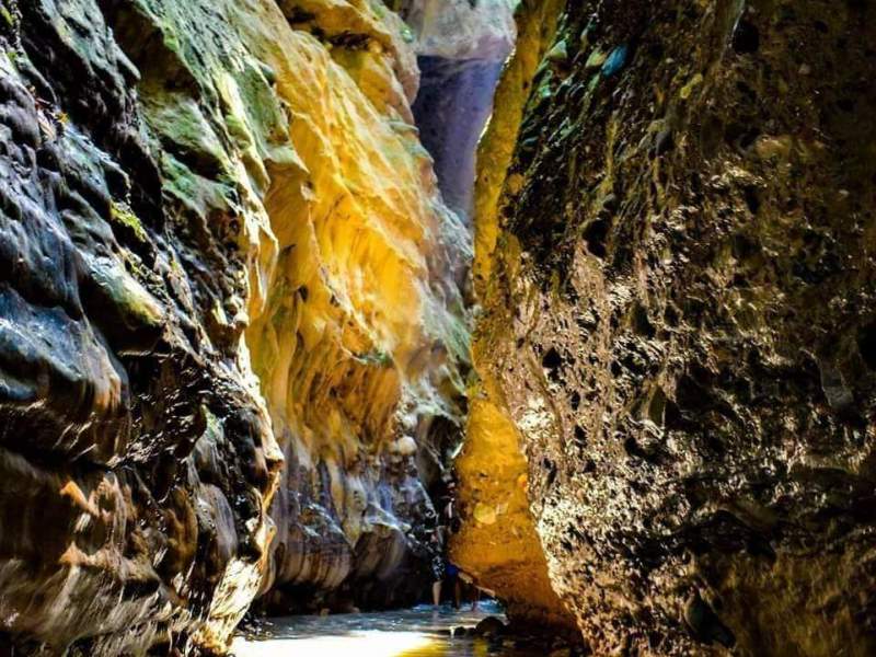 5 Fascinating Places of&nbsp;Dehradun