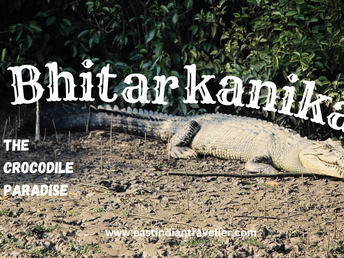 Bhitarkanika – The crocodile&nbsp;sanctuary