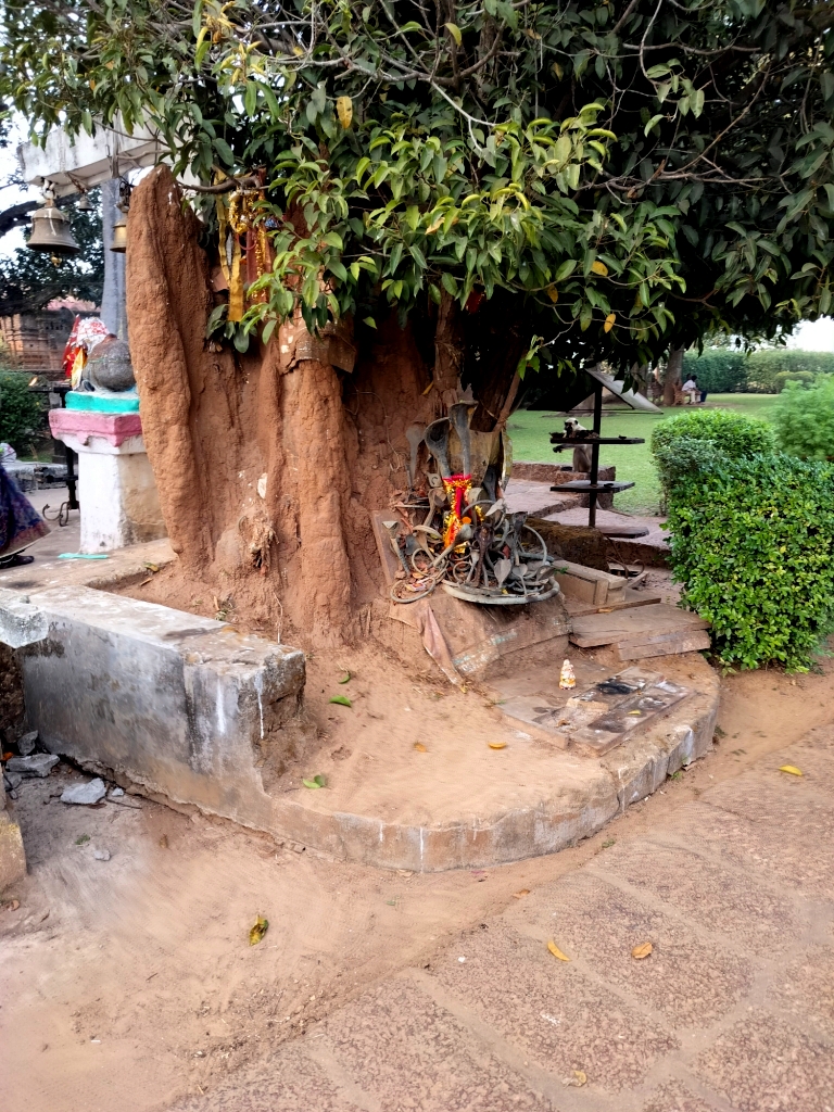 naga statues under old tree